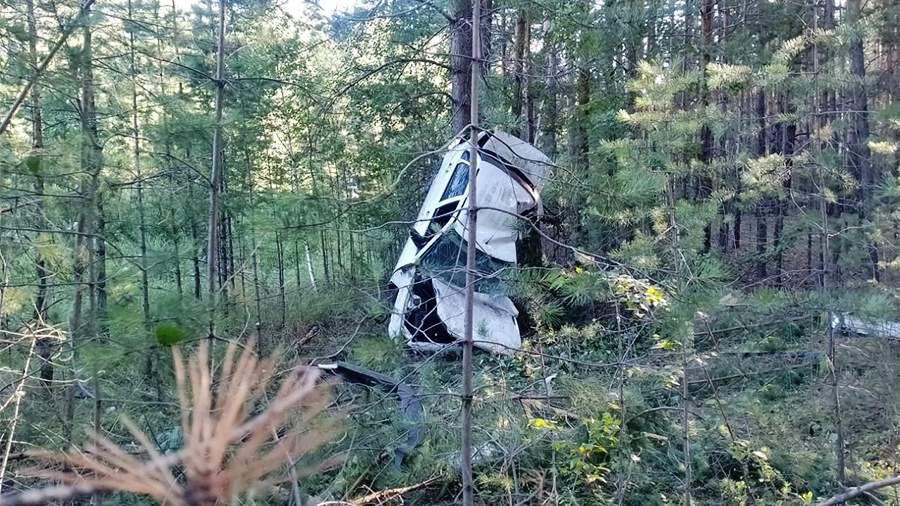 Два человека погибли при столкновении авто с деревом в Курганской области